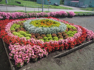 市民花壇コンクール・一般　入賞作品
