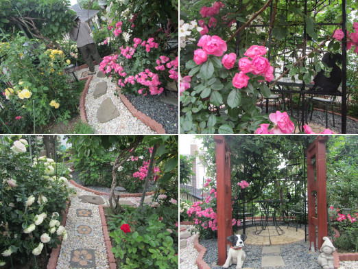 ガーデニング見学会