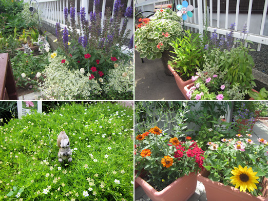 ガーデニング見学会