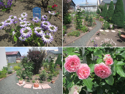 ガーデニング見学会